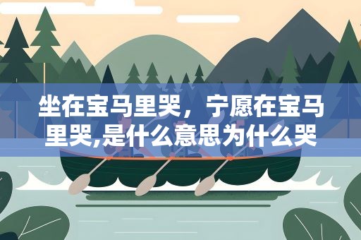 坐在宝马里哭，宁愿在宝马里哭,是什么意思为什么哭