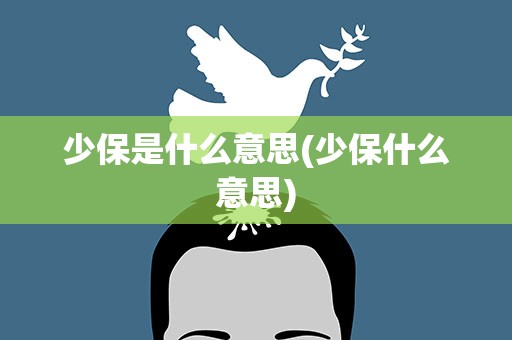 少保是什么意思(少保什么意思)