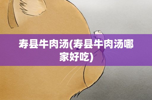 寿县牛肉汤(寿县牛肉汤哪家好吃)