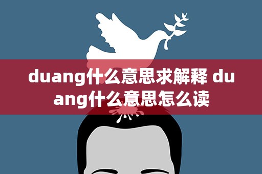duang什么意思求解释 duang什么意思怎么读
