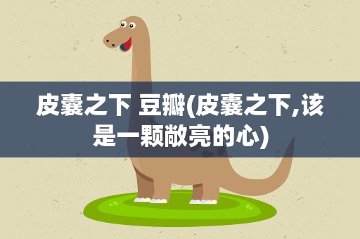 皮囊之下 豆瓣(皮囊之下,该是一颗敞亮的心)