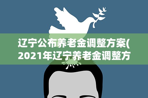 辽宁公布养老金调整方案(2021年辽宁养老金调整方案细则)