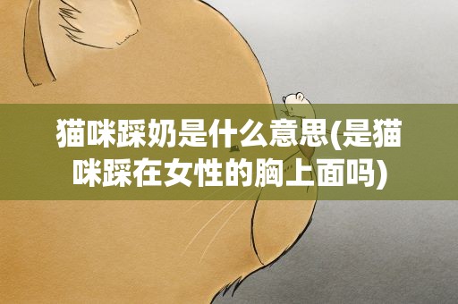 猫咪踩奶是什么意思(是猫咪踩在女性的胸上面吗)