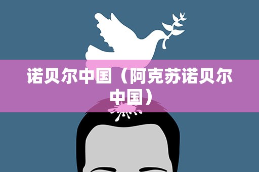 诺贝尔中国（阿克苏诺贝尔中国）