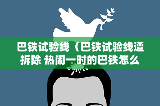 巴铁试验线（巴铁试验线遭拆除 热闹一时的巴铁怎么了?）