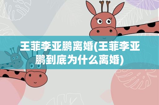 王菲李亚鹏离婚(王菲李亚鹏到底为什么离婚)