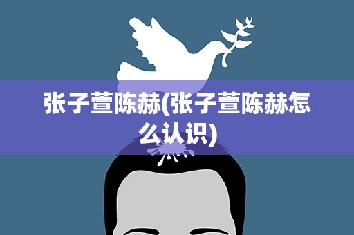 张子萱陈赫(张子萱陈赫怎么认识)
