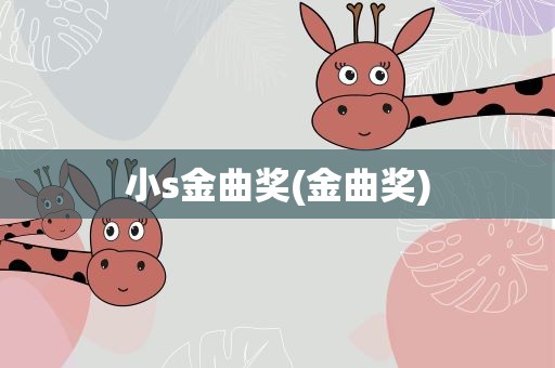 小s金曲奖(金曲奖)