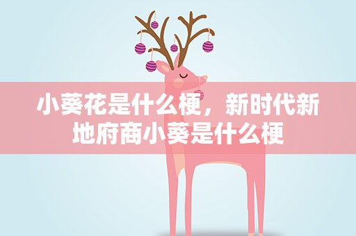 小葵花是什么梗，新时代新地府商小葵是什么梗