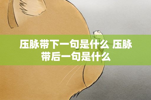 压脉带下一句是什么 压脉带后一句是什么