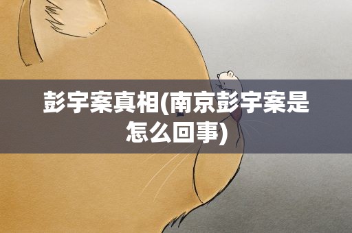 彭宇案真相(南京彭宇案是怎么回事)
