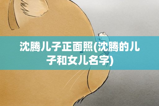 沈腾儿子正面照(沈腾的儿子和女儿名字)