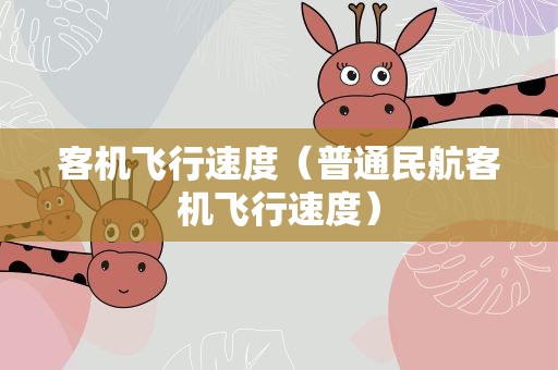 客机飞行速度（普通民航客机飞行速度）