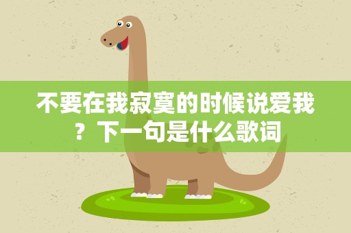 不要在我寂寞的时候说爱我？下一句是什么歌词
