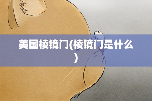 美国棱镜门(棱镜门是什么)