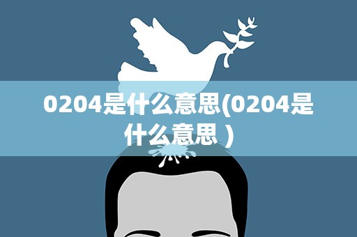 0204是什么意思(0204是什么意思 )