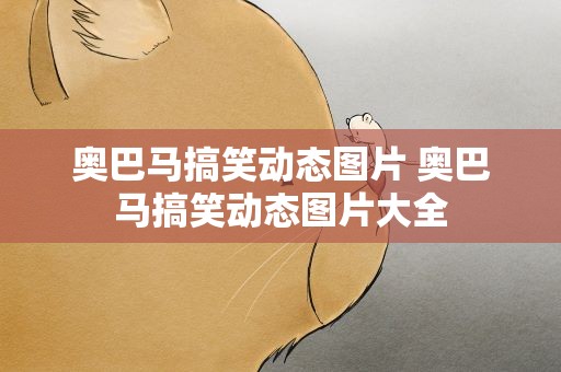 奥巴马搞笑动态图片 奥巴马搞笑动态图片大全