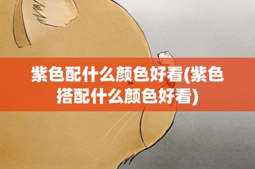 紫色配什么颜色好看(紫色搭配什么颜色好看)