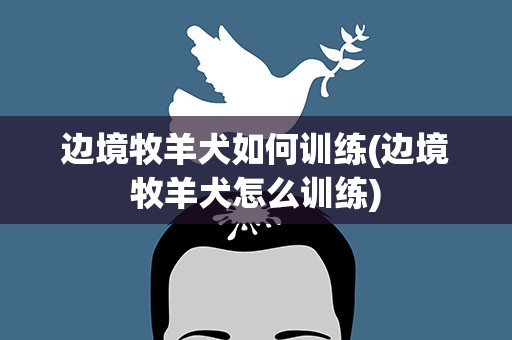 边境牧羊犬如何训练(边境牧羊犬怎么训练)