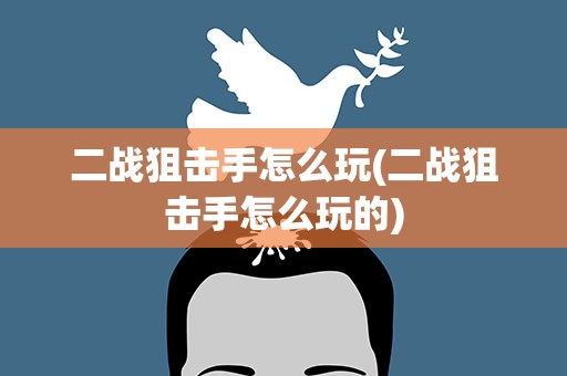 二战狙击手怎么玩(二战狙击手怎么玩的)