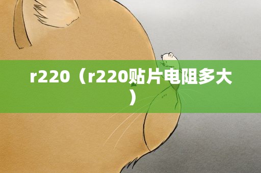 r220（r220贴片电阻多大）