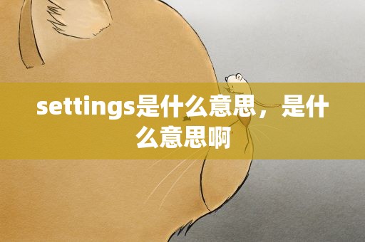 settings是什么意思，是什么意思啊