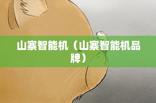 山寨智能机（山寨智能机品牌）