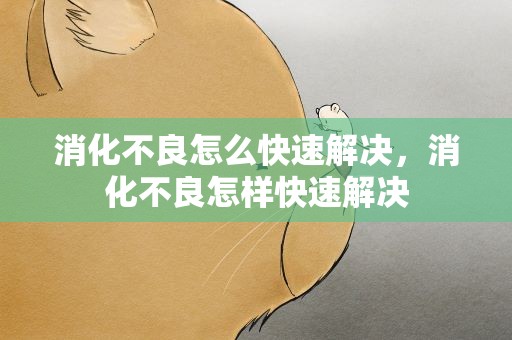 消化不良怎么快速解决，消化不良怎样快速解决