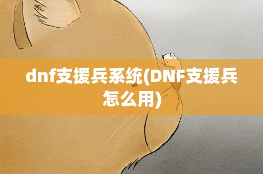 dnf支援兵系统(DNF支援兵怎么用)