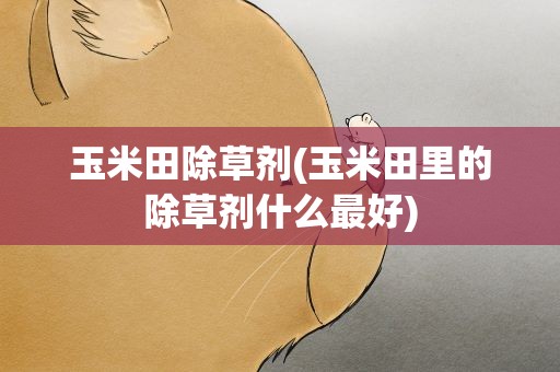 玉米田除草剂(玉米田里的除草剂什么最好)