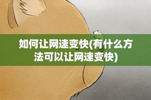 如何让网速变快(有什么方法可以让网速变快)