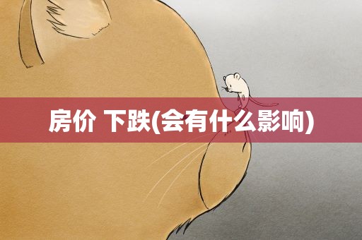房价 下跌(会有什么影响)