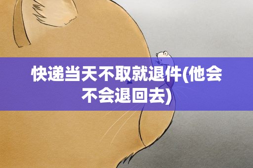 快递当天不取就退件(他会不会退回去)