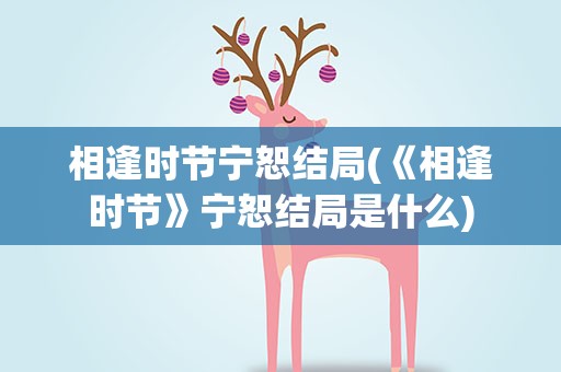 相逢时节宁恕结局(《相逢时节》宁恕结局是什么)