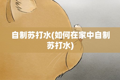 自制苏打水(如何在家中自制苏打水)
