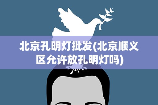 北京孔明灯批发(北京顺义区允许放孔明灯吗)