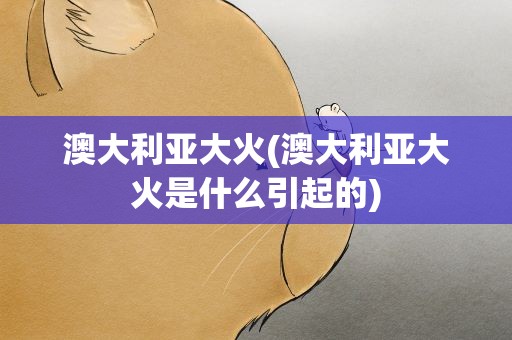 澳大利亚大火(澳大利亚大火是什么引起的)