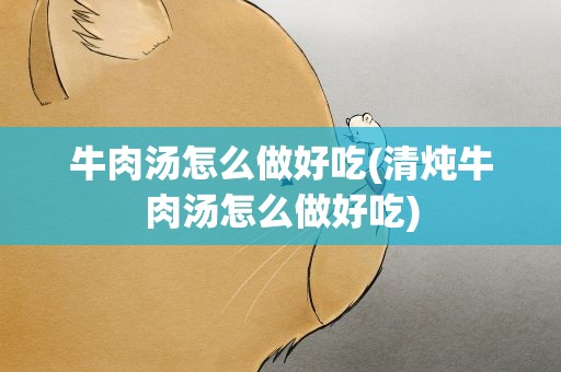 牛肉汤怎么做好吃(清炖牛肉汤怎么做好吃)