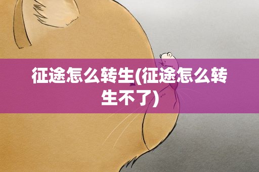 征途怎么转生(征途怎么转生不了)
