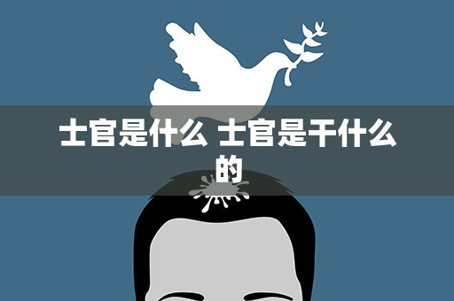 士官是什么 士官是干什么的