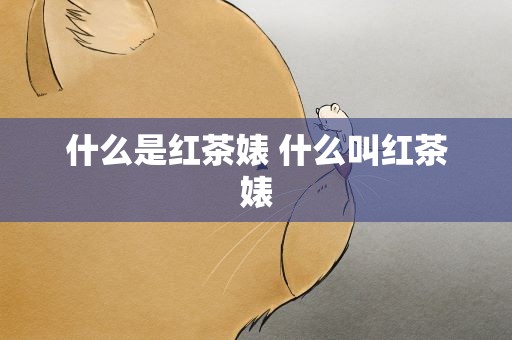 什么是红茶婊 什么叫红茶婊
