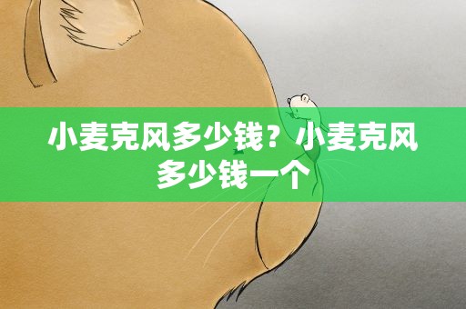 小麦克风多少钱？小麦克风多少钱一个