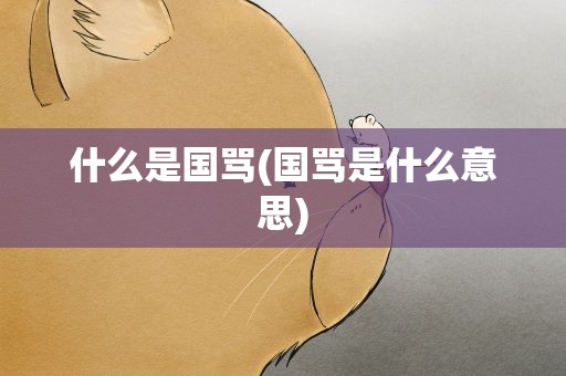 什么是国骂(国骂是什么意思)