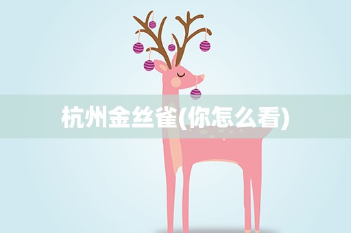 杭州金丝雀(你怎么看)