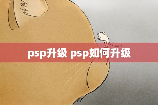 psp升级 psp如何升级