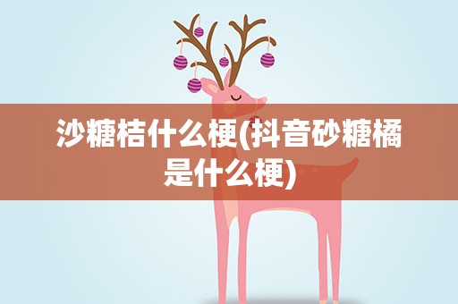 沙糖桔什么梗(抖音砂糖橘是什么梗)
