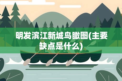 明发滨江新城鸟瞰图(主要缺点是什么)