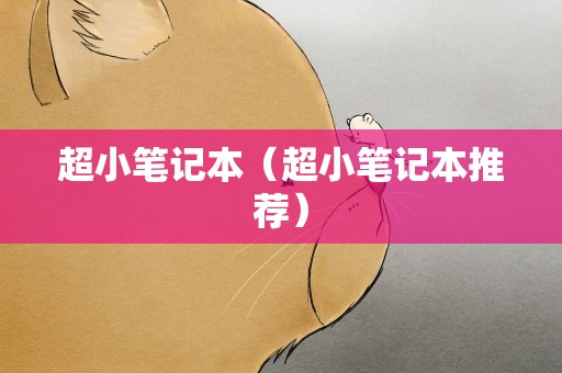 超小笔记本（超小笔记本推荐）