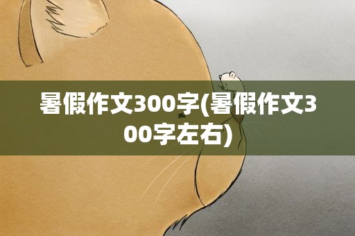 暑假作文300字(暑假作文300字左右)