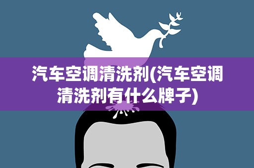 汽车空调清洗剂(汽车空调清洗剂有什么牌子)